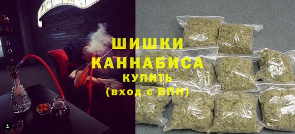 спайс Арсеньев