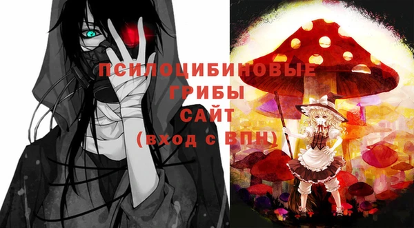 ГАЛЛЮЦИНОГЕННЫЕ ГРИБЫ Балахна