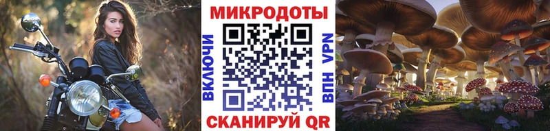 что такое   Ногинск  Псилоцибиновые грибы GOLDEN TEACHER 